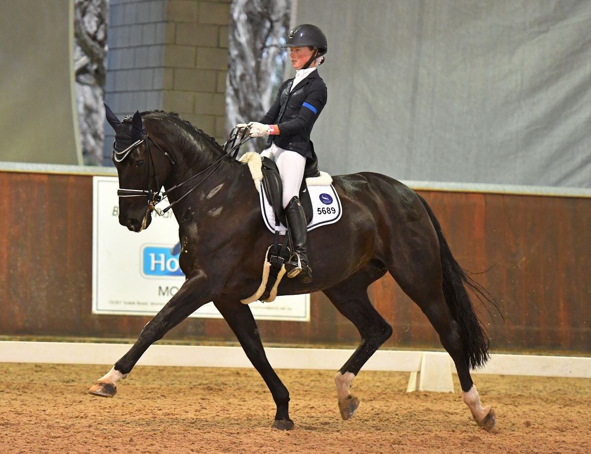 Ballo Dressage stables